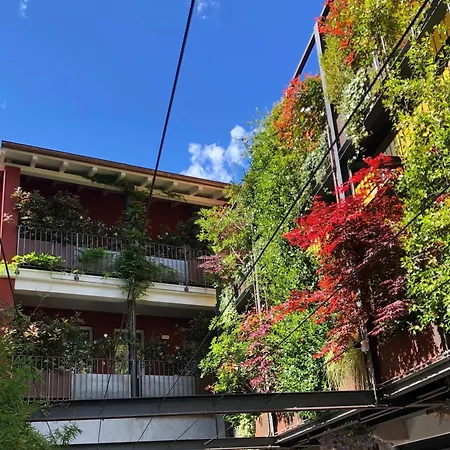 Casa Coppa Aster