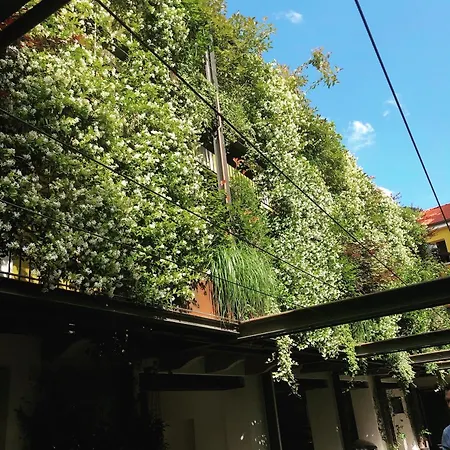 Casa Coppa Aster Feriehus